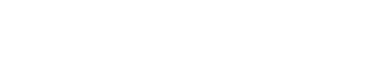 ProAudit